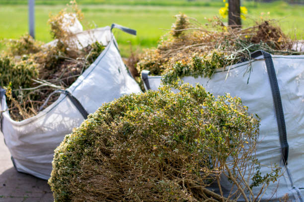 Debris Removal in Havana, IL