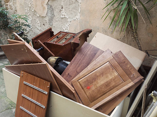 Best Yard Cleanup Services  in Havana, IL
